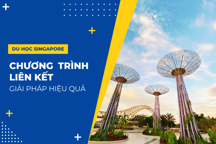 Chương trình liên kết - Giải pháp du học Singapore hiệu quả