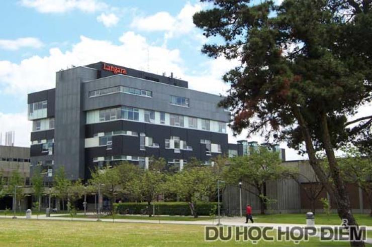 Chọn Langara College - Ngành Học Đa Dạng Với Nhiều Cơ Hội Làm Việc Và Định Cư