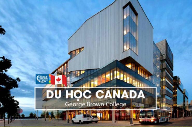 Du Học George Brown College: Cơ Hội Việc Làm Tại Toronto - Trung Tâm Kinh Tế Lớn Nhất Canada