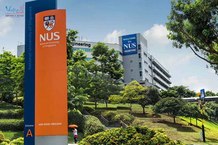 NUS áp dụng học phí linh hoạt cho sinh viên quốc tế