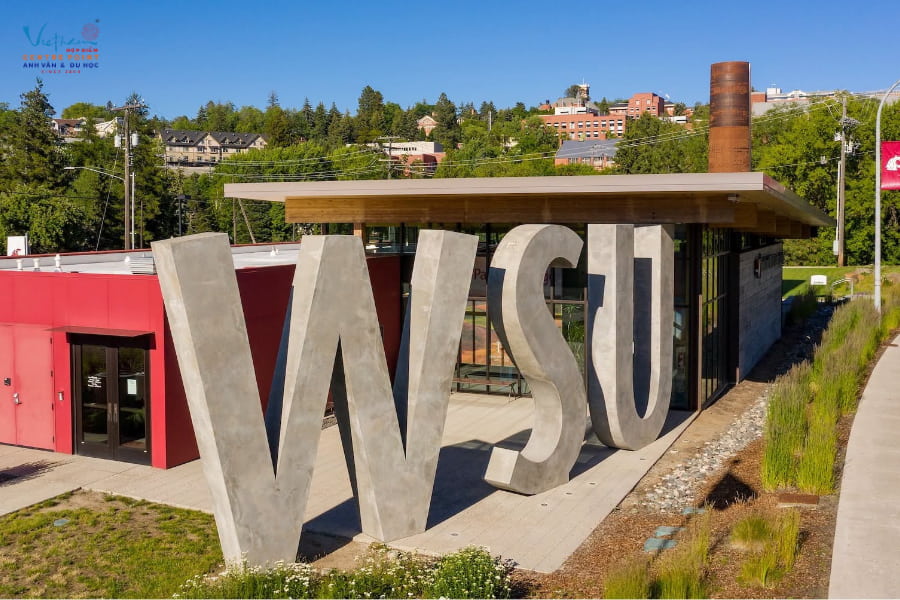 Môi trường học tại WSU