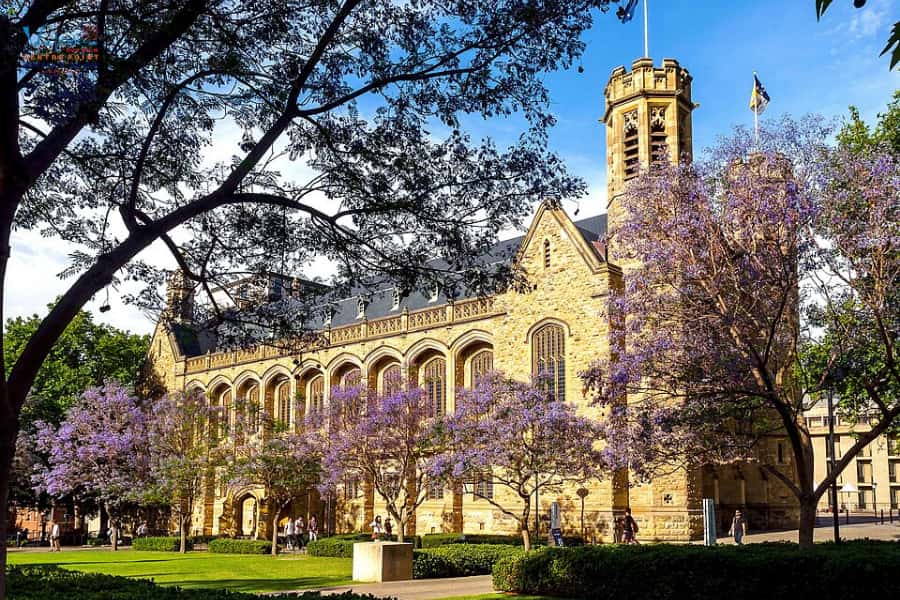Adelaide University đào tạo đa dạng ngành học