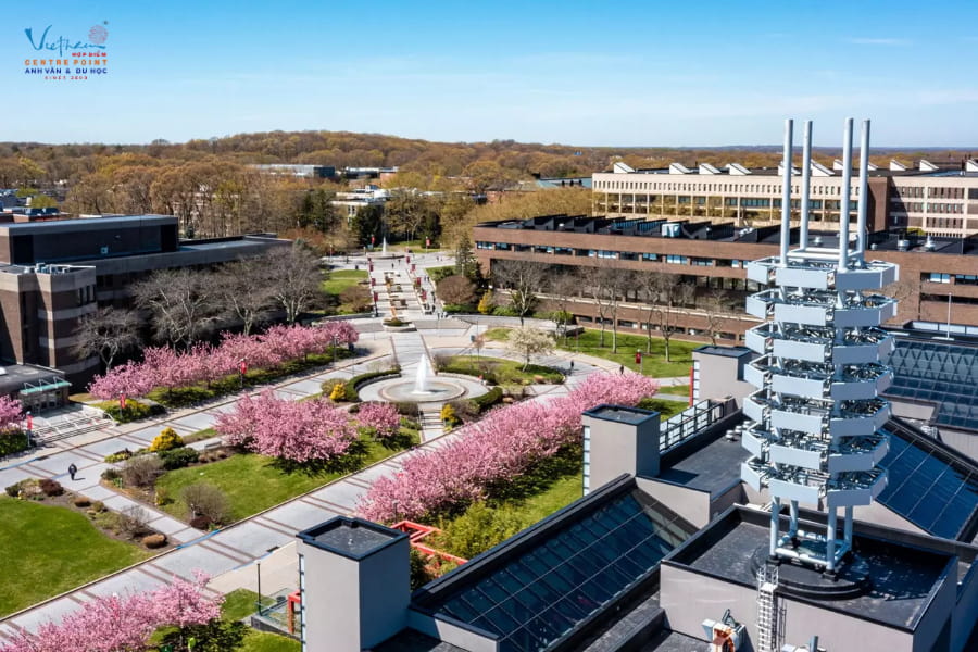 Khuôn viên Stony Brook University