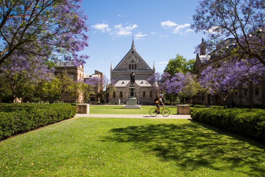 Chương trình nghiên cứu tại Adelaide University