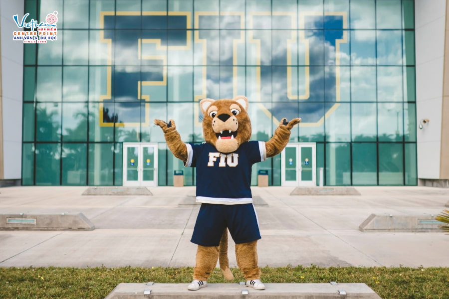 Các mốc nộp hồ sơ của FIU