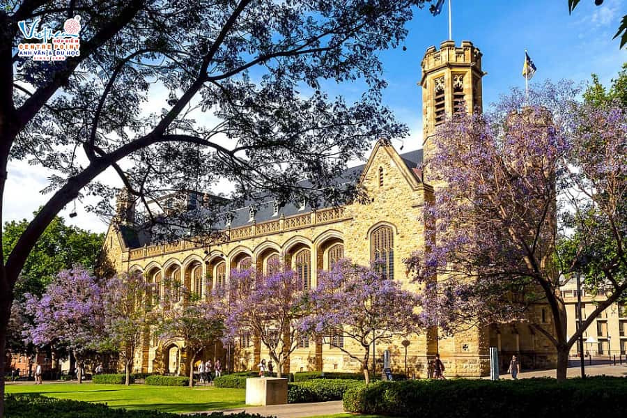 Điều kiện học thuật apply Adelaide University