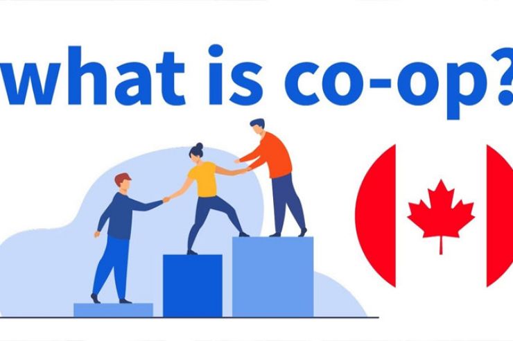 Chương trình thực tập có lương từ năm 2 đại học tại các trường Canada