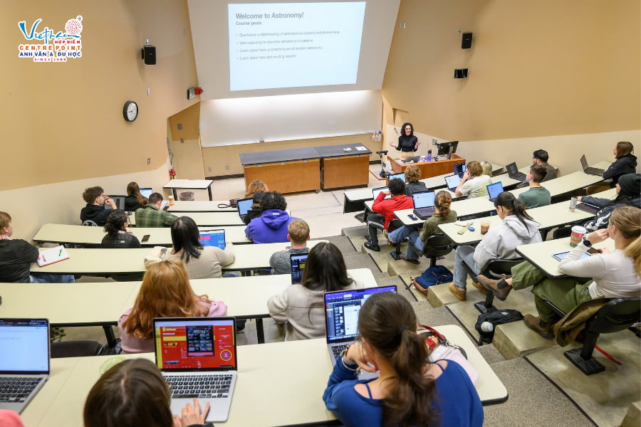 Mức IELTS theo bậc học