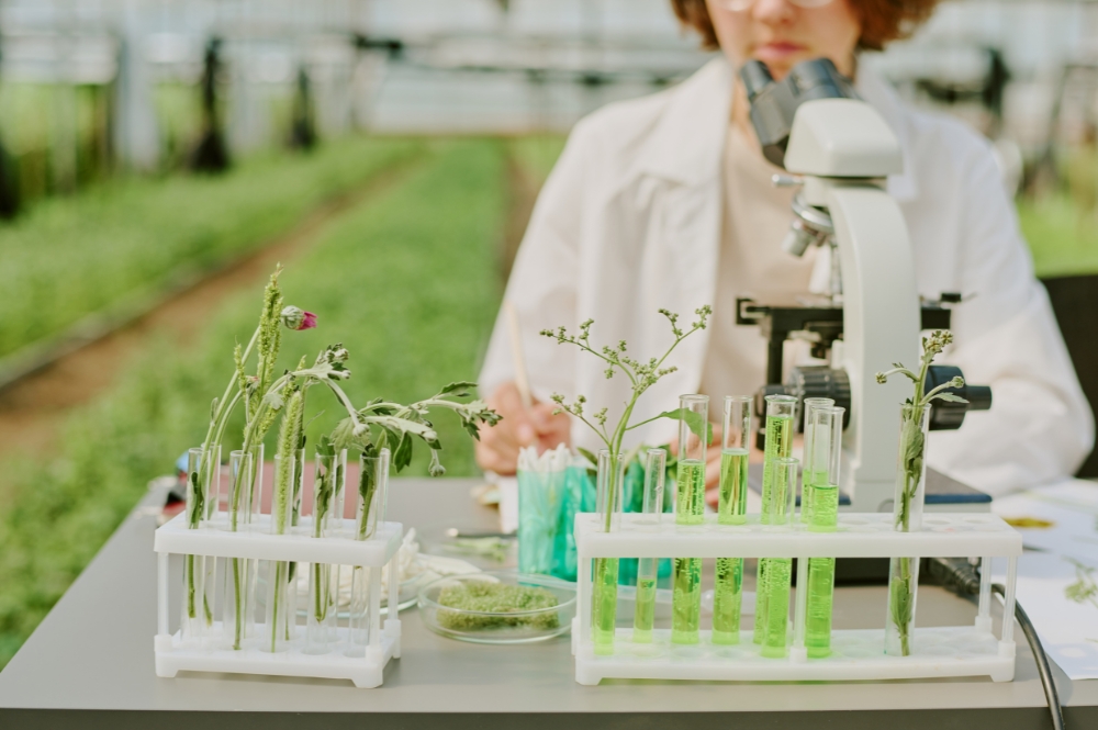 du-hoc-uc-nganh-hoc-trien-vong-tai-adelaide-university