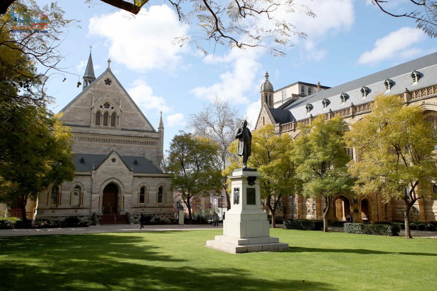 Adelaide Uni dành nhiều học bổng cho sinh viên quốc tế