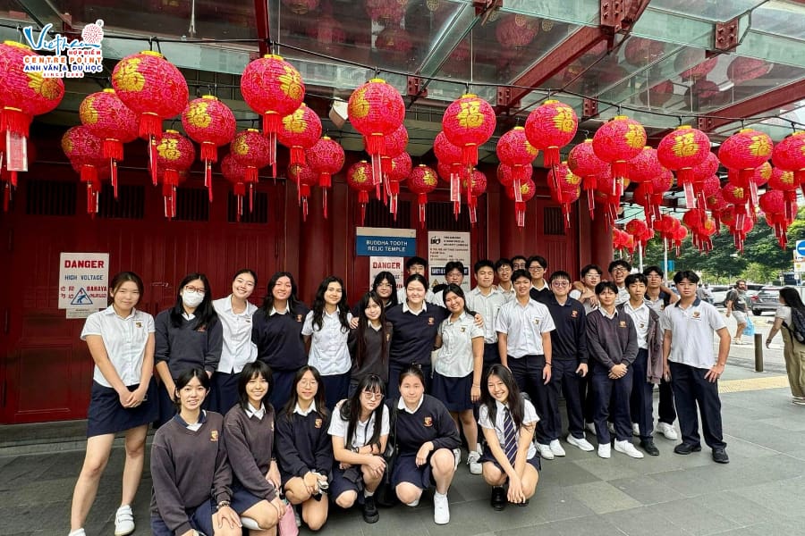 Senior Division tại ACS