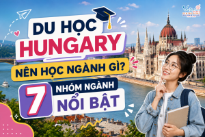 Du Học Hungary Nên Chọn Ngành Gì? 7 Nhóm Ngành Nổi Bật Không Nên Bỏ Qua